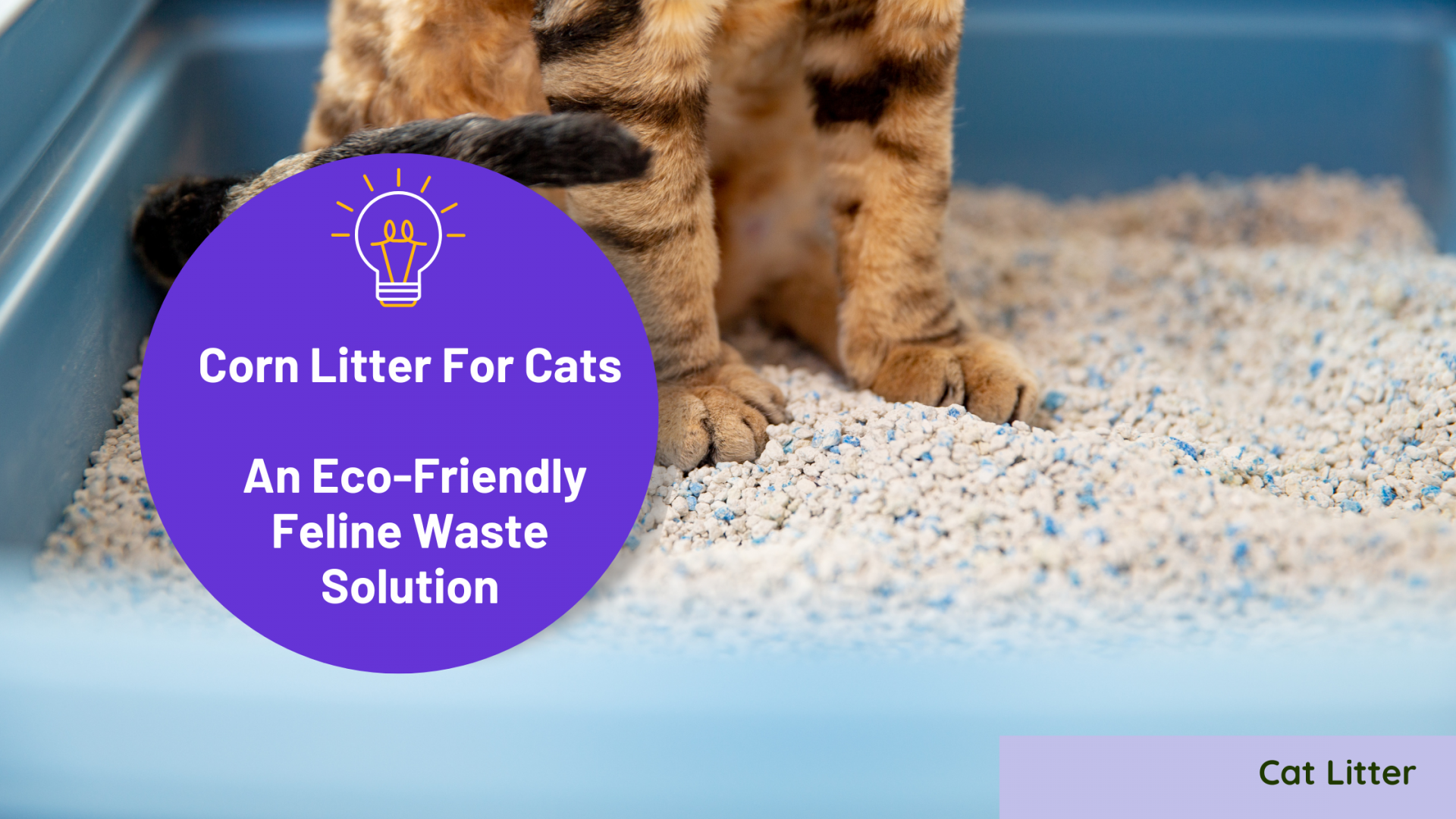 Corn Litter For Cats: An Eco-Friendly Feline Waste Solution