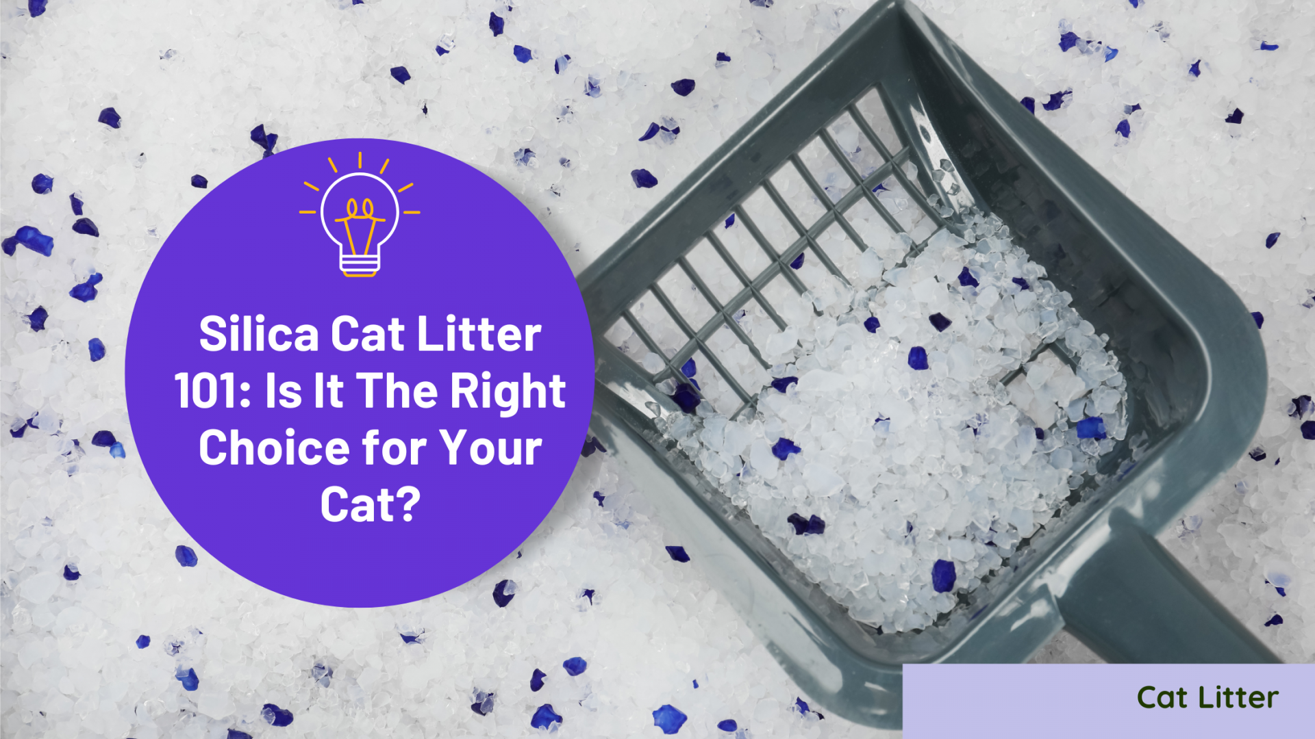 Silica Cat Litter 101 Is It The Right Choice for Your Cat