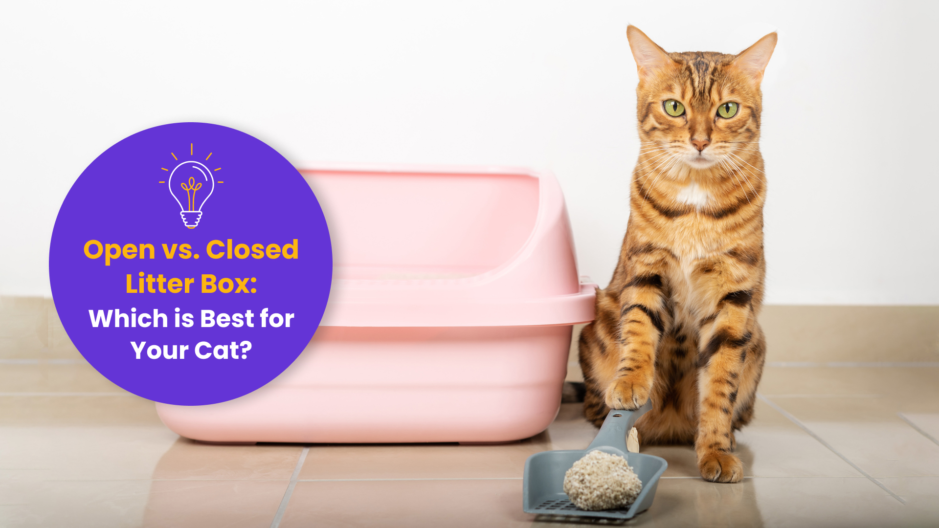 open vs closed litter boxes